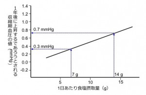 図2. 食塩摂取量と1年後の血圧上昇度の関係：血圧は年齢とともに誰でも上昇します。一方で、その上昇度は食塩摂取量が高いほど高くなります