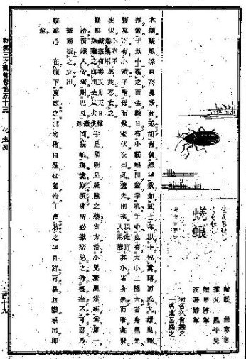 江戸時代の百科事典「和漢三才図会」より「くそむし」