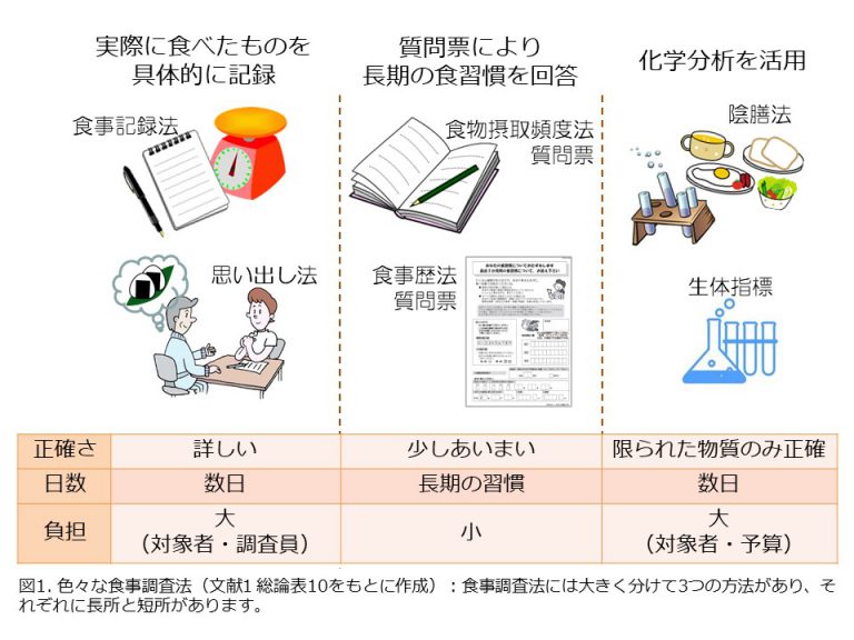 食事調査法の理解が必須：これでわかった！食事摂取基準8 – FOOCOM.NET